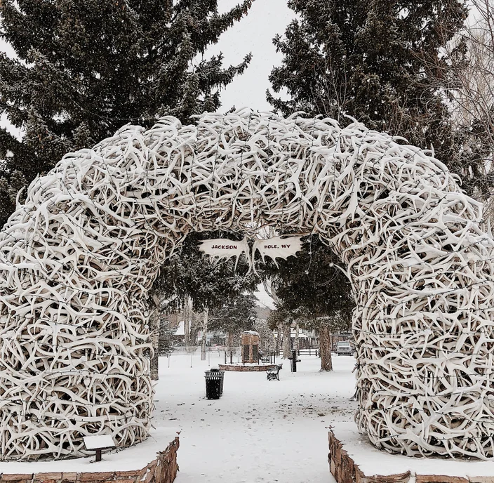 The City Guide to Jackson Hole, Wyoming
